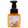 WHOLESALE BODY CARE FOAMING HAND SOAP SEXY COCONUT 8.75 OZ SOLD BY CASE Discount