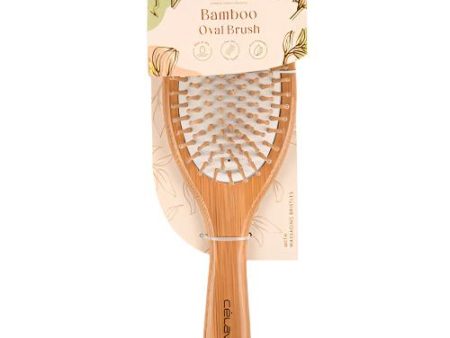 WHOLESALE CELAVI BAMBOO OVAL HAIR BRUSH SOLD BY CASE For Discount