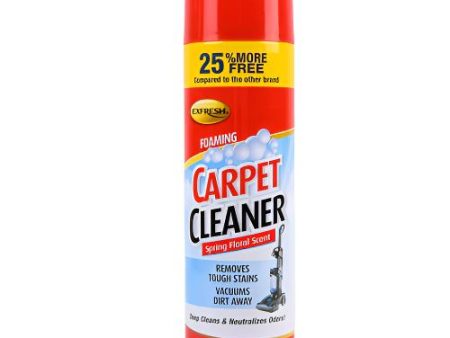 WHOLESALE EXFRESH CARPET CLEANER SPRING FLORAL SCENT 16 OZ SOLD BY CASE Online Hot Sale