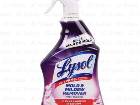 WHOLESALE LYSOL BATHROOM CLEANER MOLD&MILDEW REMOVER 32 OZ SOLD BY CASE on Sale