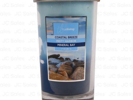 WHOLESALE JAR CANDLE TRUE LIVING COASTAL BREEZE, MISTY HARBOR, MINERAL BAY 17OZ SOLD BY CASE For Sale