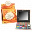 WHOLESALE EYESHADOW PALLETTE 25 CLR DISP 6 SOLD BY CASE Cheap