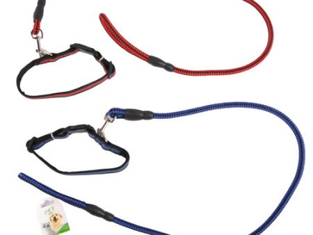 NEW WHOLESALE DOG COLLAR & LEASH SET HEAVY DUTY SOLD BY CASE Discount