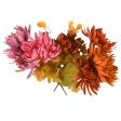 WHOLESALE ARTIFICIAL FLOWER CINERANIA DAISY 2 ASST COLORS SOLD BY CASE Hot on Sale