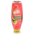 WHOLESALE GAIN ULTRA EZ-SQUEEZE SUMMER WATERMELON 24.3 OZ SOLD BY CASE Online Hot Sale