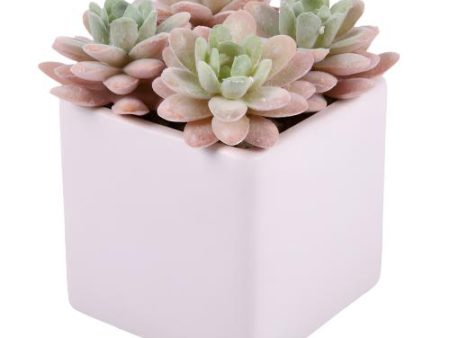 NEW WHOLESALE ARTIFICIAL SUCCULENTS IN CERAMIC POT SOLD BY CASE Supply