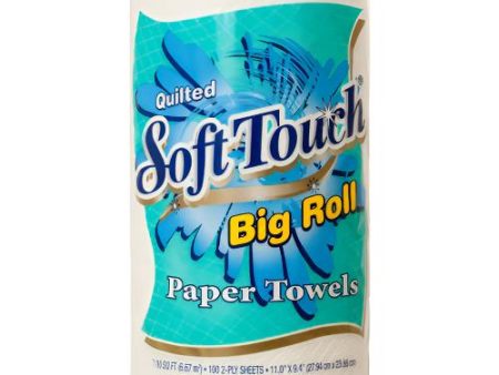 WHOLESALE SOFT TOUCH PAPER TOWEL 100CT 2PLY BIG ROLL SOLD BY CASE For Sale