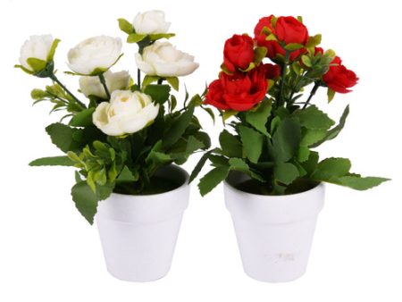 WHOLESALE FLOWER PLANT IN CERAMIC POT21CM W ASST COLORS SOLD BY CASE For Discount